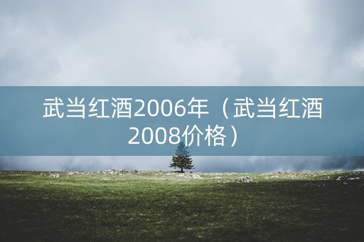 武当红酒2006年（武当红酒2008价格）