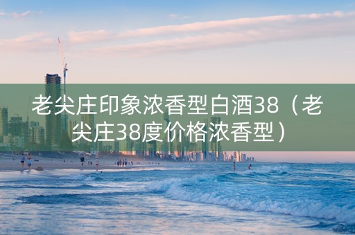老尖庄印象浓香型白酒38（老尖庄38度价格浓香型）