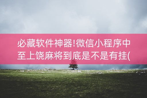 必藏软件神器!微信小程序中至上饶麻将到底是不是有挂(有什么诀窍)