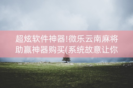 超炫软件神器!微乐云南麻将助赢神器购买(系统故意让你输)