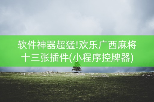 软件神器超猛!欢乐广西麻将十三张插件(小程序控牌器)