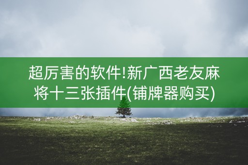 超厉害的软件!新广西老友麻将十三张插件(铺牌器购买)