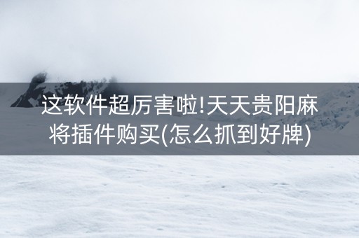 这软件超厉害啦!天天贵阳麻将插件购买(怎么抓到好牌)