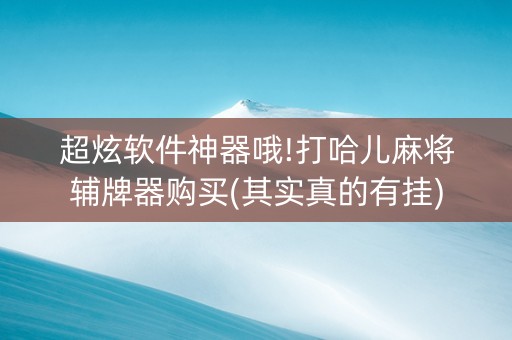 超炫软件神器哦!打哈儿麻将辅牌器购买(其实真的有挂)