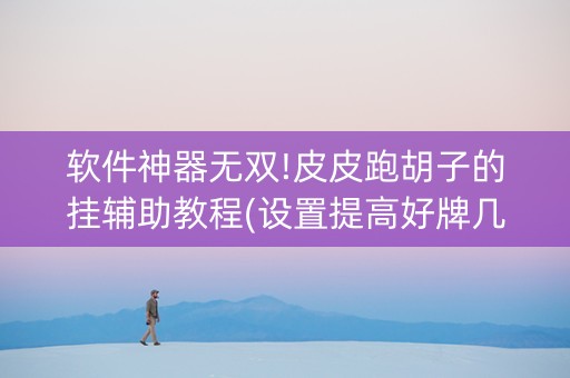 软件神器无双!皮皮跑胡子的挂辅助教程(设置提高好牌几率)