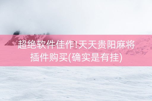 超绝软件佳作!天天贵阳麻将插件购买(确实是有挂)