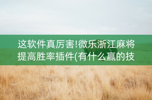 这软件真厉害!微乐浙江麻将提高胜率插件(有什么赢的技巧)
