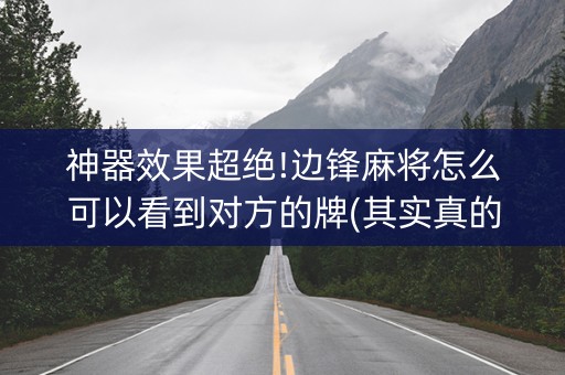 神器效果超绝!边锋麻将怎么可以看到对方的牌(其实真的确实有挂)