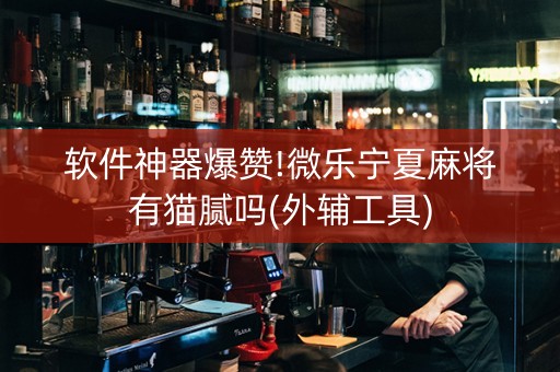 软件神器爆赞!微乐宁夏麻将有猫腻吗(外辅工具)