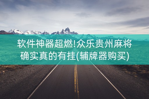 软件神器超燃!众乐贵州麻将确实真的有挂(辅牌器购买)