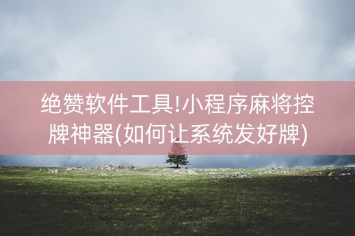 绝赞软件工具!小程序麻将控牌神器(如何让系统发好牌)