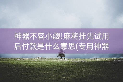 神器不容小觑!麻将挂先试用后付款是什么意思(专用神器下载)