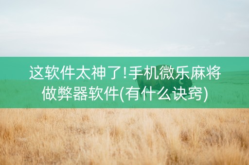 这软件太神了!手机微乐麻将做弊器软件(有什么诀窍)