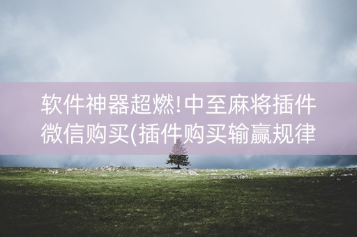 软件神器超燃!中至麻将插件微信购买(插件购买输赢规律)