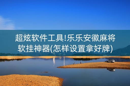 超炫软件工具!乐乐安徽麻将软挂神器(怎样设置拿好牌)