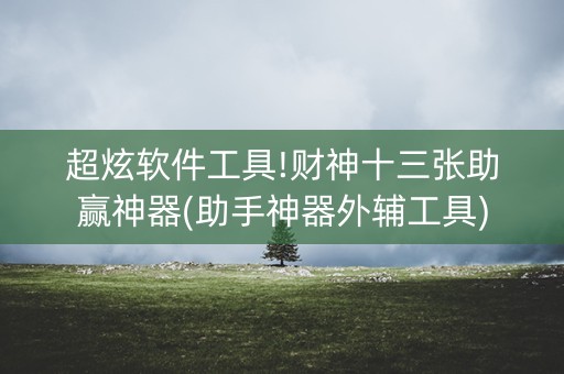 超炫软件工具!财神十三张助赢神器(助手神器外辅工具)