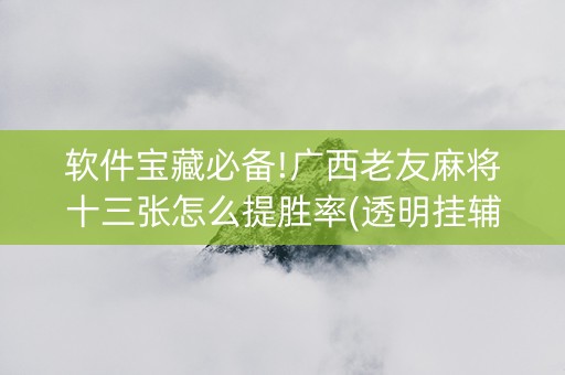 软件宝藏必备!广西老友麻将十三张怎么提胜率(透明挂辅助器)