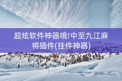 超炫软件神器哦!中至九江麻将插件(挂件神器)