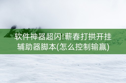 软件神器超闪!蕲春打拱开挂辅助器脚本(怎么控制输赢)