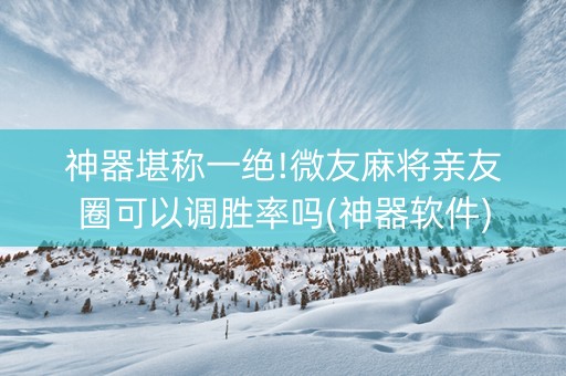 神器堪称一绝!微友麻将亲友圈可以调胜率吗(神器软件)
