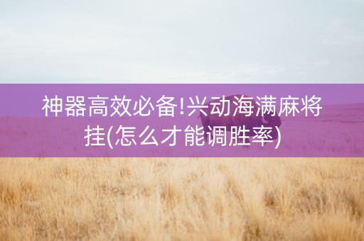 神器高效必备!兴动海满麻将挂(怎么才能调胜率)