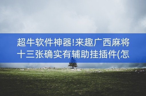 超牛软件神器!来趣广西麻将十三张确实有辅助挂插件(怎么让系统发好牌)