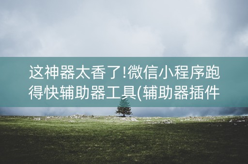 这神器太香了!微信小程序跑得快辅助器工具(辅助器插件)