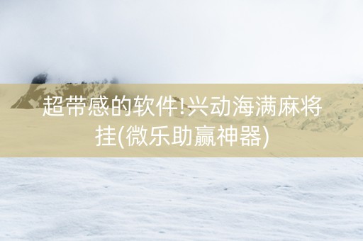 超带感的软件!兴动海满麻将挂(微乐助赢神器)