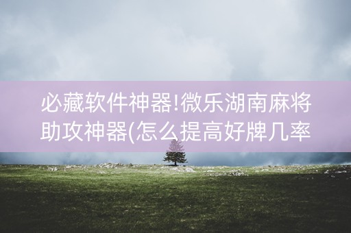必藏软件神器!微乐湖南麻将助攻神器(怎么提高好牌几率)