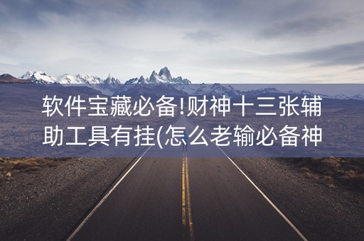 软件宝藏必备!财神十三张辅助工具有挂(怎么老输必备神器)