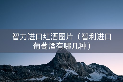 智力进口红酒图片（智利进口葡萄酒有哪几种）