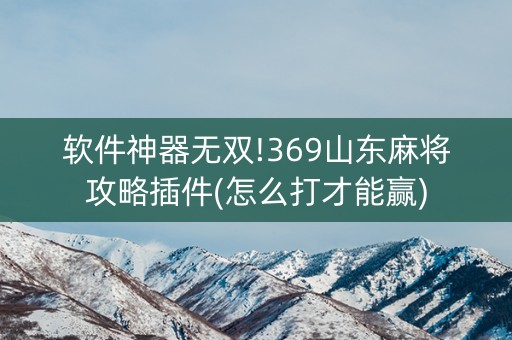 软件神器无双!369山东麻将攻略插件(怎么打才能赢)