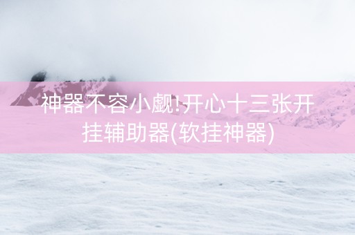 神器不容小觑!开心十三张开挂辅助器(软挂神器)