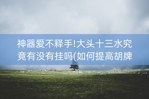 神器爱不释手!大头十三水究竟有没有挂吗(如何提高胡牌率)