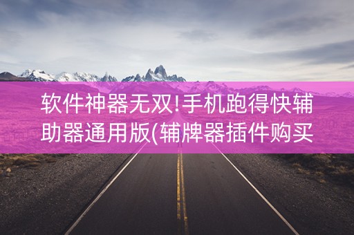 软件神器无双!手机跑得快辅助器通用版(辅牌器插件购买)