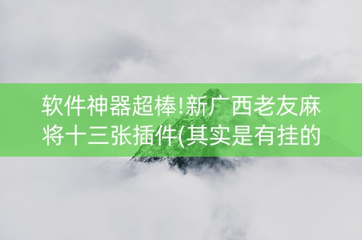 软件神器超棒!新广西老友麻将十三张插件(其实是有挂的)