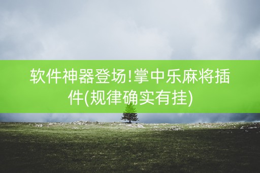 软件神器登场!掌中乐麻将插件(规律确实有挂)