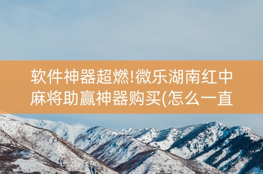 软件神器超燃!微乐湖南红中麻将助赢神器购买(怎么一直赢)