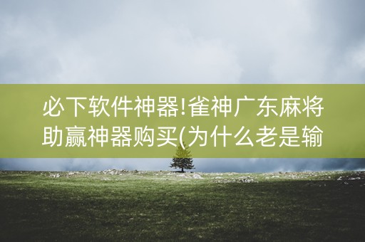必下软件神器!雀神广东麻将助赢神器购买(为什么老是输)