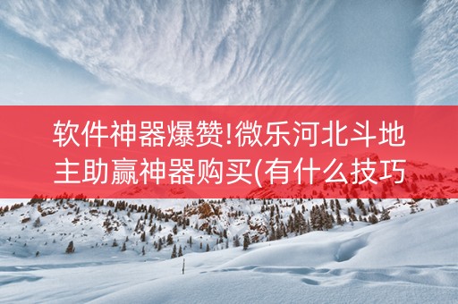 软件神器爆赞!微乐河北斗地主助赢神器购买(有什么技巧)