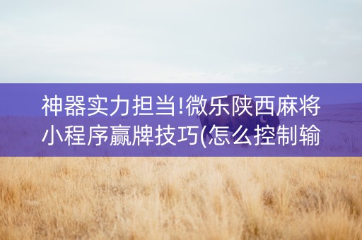 神器实力担当!微乐陕西麻将小程序赢牌技巧(怎么控制输赢)