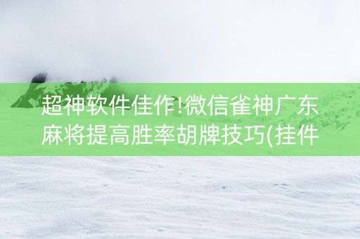 超神软件佳作!微信雀神广东麻将提高胜率胡牌技巧(挂件神器)