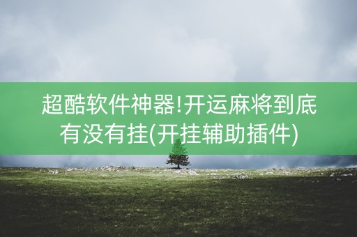 超酷软件神器!开运麻将到底有没有挂(开挂辅助插件)