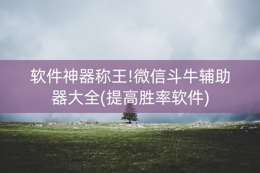 软件神器称王!微信斗牛辅助器大全(提高胜率软件)