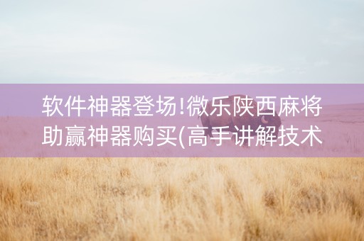 软件神器登场!微乐陕西麻将助赢神器购买(高手讲解技术)