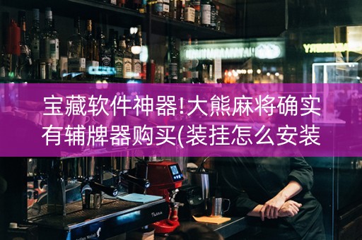 宝藏软件神器!大熊麻将确实有辅牌器购买(装挂怎么安装)