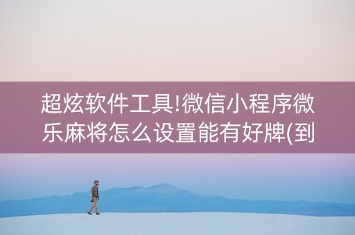 超炫软件工具!微信小程序微乐麻将怎么设置能有好牌(到底是不是有挂)