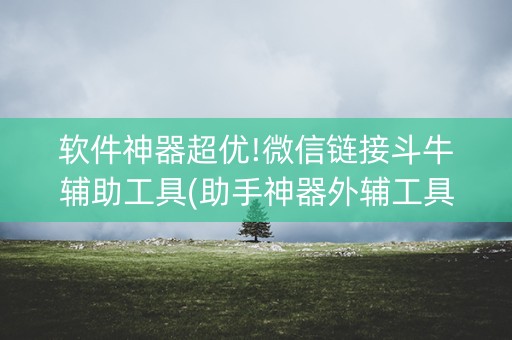 软件神器超优!微信链接斗牛辅助工具(助手神器外辅工具)