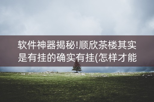 软件神器揭秘!顺欣茶楼其实是有挂的确实有挂(怎样才能赢)