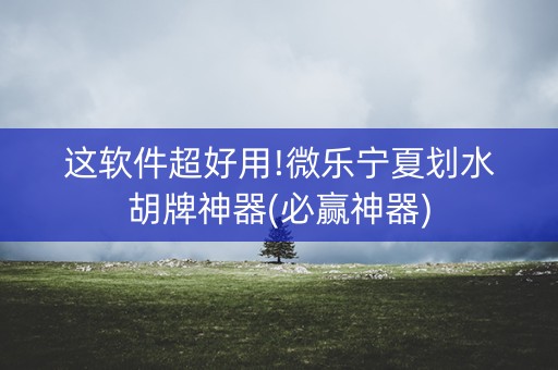 这软件超好用!微乐宁夏划水胡牌神器(必赢神器)